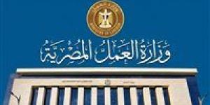 وزارة
العمل
تحذر
من
إعلانات
التوظيف
الوهمية
بالخارج