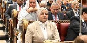 أمين سر طاقة الشيوخ: سداد مستحقات شركاء البترول نقطة تحول تاريخية لدعم الاستثمار وزيادة الإنتاج