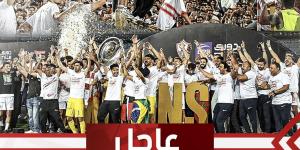 الزمالك
يتلقى
دعوة
من
الأفريقي
التونسي
لخوض
مباراتين
وديتين
احتفالًا
بتتويج
الفريقين
بالدوري