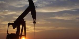 النفط
يتراجع
3%
مع
إلغاء
ترامب
الضربات
المقررة
ضد
إيران