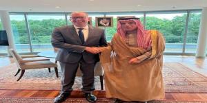 لقاء
سعودي
ألماني
لبحث
التطورات
الإقليمية
والدولية