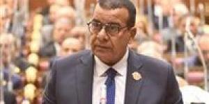 محمود
مرجان:
ثورة
30
يونيو
أنقذت
الدولة
المصرية
من
مصير
مظلم
وأطلقت
مسيرة
الجمهورية
الجديدة