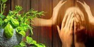 "علاج
      القلق
      والاكتئاب"..
      أسرار
      لاستعادة
      سلامك
      النفسي