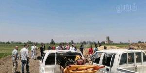هل عاد شبح الثعابين؟.. وفاة سيدة وطفل بالشرقية تفتح ملف الزواحف السامة في القرى
