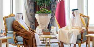 سمو الأمير يتسلم أوراق اعتماد سفيري الإمارات ونيجيريا