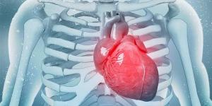 5
      فيتامينات
      ضرورية
      لحماية
      القلب،
      ونقصها
      يسبب
      مضاعفات
      خطيرة