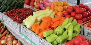 سعر
      الخضار
      اليوم،
      انخفاض
      جديد
      في
      الطماطم
      والليمون
      ينزل
      "النص"
      وارتفاع
      6
      أصناف
