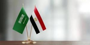 مصر
      والسعودية
      تؤكدان
      ضرورة
      وقف
      التصعيد
      وحماية
      أمن
      الملاحة