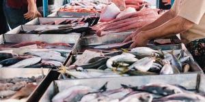 أسعار
      السمك
      اليوم،
      البلطي
      يواصل
      ارتفاعه
      وانخفاض
      كبير
      في
      المكرونة
      والجمبري