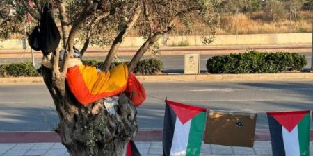 غصن الزيتون يحتج اعتصام رمزي ونوم فوق الأشجارقرب سفارة كبرى بنيقوسيا تضامناً مع غزة