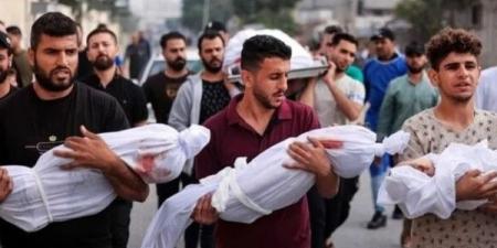 الصحة بغزة: 82 شهيدًا و262 مصابًا وصلوا إلى المستشفيات خلال 24 ساعة