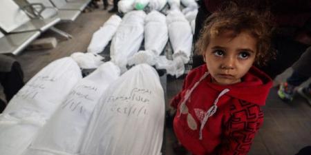 وزير الخارجية الأيرلندي: ما تقوم به إسرائيل في غزة عمل بربري