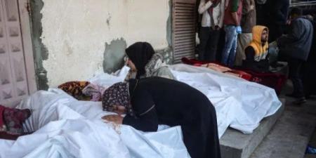 ارتفاع حصيلة عدوان الاحتلال على قطاع غزة إلى 53,901 شهيد و122,593 مصابا