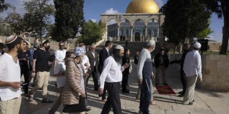 مستوطنون يقتحمون المسجد الأقصى ويؤدون طقوسا تلمودية عند أبوابه