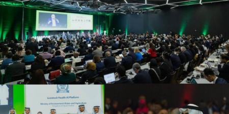 «البيئة» تفوز بشهادة تميز في القمة العالمية لمجتمع المعلومات