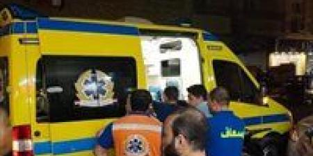 شهداء
لقمة
العيش..
وفاة
7
شباب
وفتيات
من
قرية
المعصرة
في
حادث
تصادم
واشتعال
ميكروباص
أثناء
العودة
إلى
الفيوم