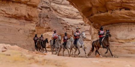 العُلا
تستضيف
كأس
اللجنة
الأولمبية
والبارالمبية
السعودية
للقدرة
والتحمل