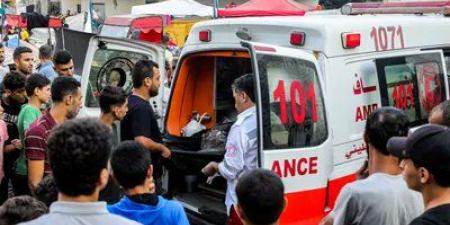 1500
      طفل
      ينتظرون
      الإجلاء
      الطبي..
      و42%
      من
      الحوامل
      يعانين
      فقر
      الدم
      في
      غزة