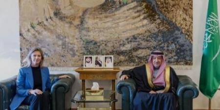 نائب
      وزير
      الخارجية
      يستقبل
      سفيرة
      اليونان
      المعينة
      حديثاً
      لدى
      المملكة