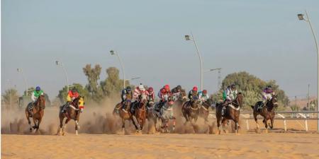 ميدان
      فروسية
      الجوف
      يختتم
      حفل
      السباقات
      الثالث
      بتتويج
      16
      فائزًا