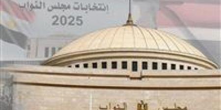 المصريين
      في
      الخارج
      يوصلون
      الإدلاء
      بأصواتهم
      بجولة
      الإعادة
      للدوائر
      الملغاة
      بعدة
      دول