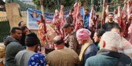 ب290
      جنيه..
      محافظ
      اسيوط
      يكشف
      حجم
      الإقبال
      على
      منافذ
      بيع
      اللحوم
      البلدي
      بديروط