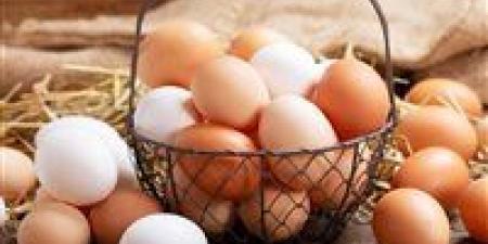 أسعار
      البيض
      اليوم
      تعكس
      تحركات
      السوق