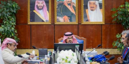 أمين الباحة يبحث مع الاتحاد العالمي للإعاقة تقييم المدينة كصديقة لذوي الإعاقة