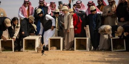 إكثار وإعادة توطين61 كائنا فطريا بمحمية الملك خالد