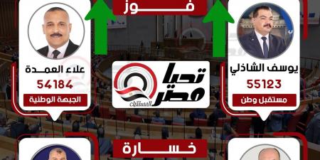 وفقا للحصر العددي.. فوز مرشحي مستقبل وطن والجبهة الوطنية بمقعدي دائرة إبشواي - الفيوم