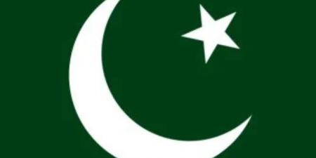 باكستان: إيران وافقت على عبور 20 سفينة ترفع علمنا فى مضيق هرمز الدولى