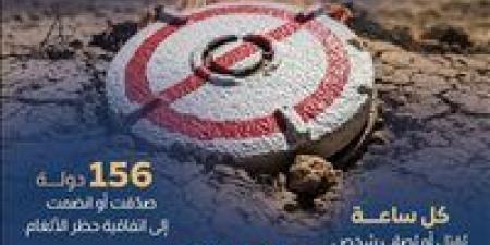 من مخلفات الحرب إلى التنمية.. جهود مصرية رائدة في مكافحة الألغام