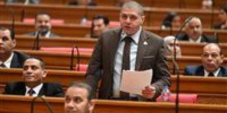 النائب أحمد جبيلي: متابعة السلع الاستراتيجية ركيزة أساسية لاستقرار الأسواق وحماية المواطن