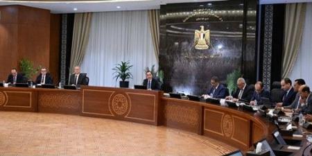 مدبولي: مصر مستمرة في دعم الجهود الرامية للتوصل إلى اتفاق دائم ينهي الحرب بالمنطقة