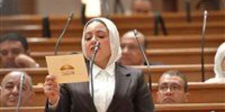 النائبة
ريهام
عبد
النبي
تتقدم
بمقترح
برغبة
لحجب
المواقع
الإباحية
في
مصر