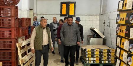 ضبط
نصف
طن
أسماك
مدخنة
"رنجة"
غير
صالحة
للإستهلاك
الآدمي
بالشرقية