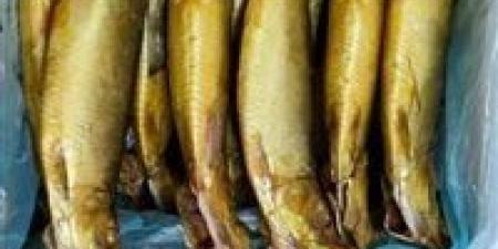 وزارة
التموين
تطرح
الرنجة
بالمجمعات
الاستهلاكية
بأسعار
مخفضة
بمناسبة
شم
النسيم