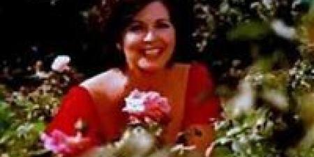 تألقي
مثل
السندريلا
في
شم
النسيم
..
ماهو
سر
اللون
الاحمر
؟