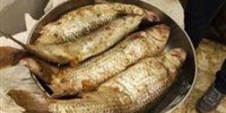 أعراض
      التسمم
      الغذائي
      من
      الرنجة
      والفسيخ
      وطرق
      الوقاية
      في
      شم
      النسيم