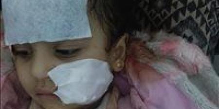 إخلاء
سبيل
“لوبا
الحلو”
بكفالة
20
ألف
جنيه
في
واقعة
هجوم
شبل
العجوزة