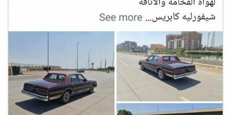 هند
      سعيد
      صالح
      تنفي
      عرض
      سيارة
      والدها
      للبيع:
      بلاش
      استخدام
      اسمه
      في
      الكذب