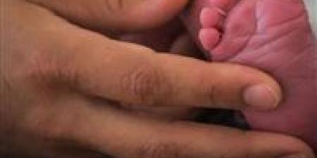 إعادة
طفلة
الحسين..
كاميرات
المراقبة
تكشف
المتهمة
وتفضح
تفاصيل
الواقعة
داخل
المستشفى