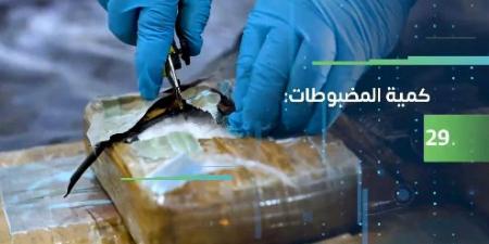 «زاتكا» تُحبط تهريب 29.1 كيلوجرامًا من الكوكايين عبر ميناء جدة الإسلامي