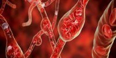 تحذيرات
      علمية
      دولية..
      عامل
      بيئي
      خفي
      وراء
      ارتفاع
      ضغط
      الدم