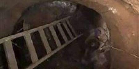 مصرع
      شخصين
      أثناء
      التنقيب
      عن
      الآثار
      بطامية..
      وانهيار
      حفرة
      على
      عمق
      15
      مترًا
      ينهي
      حياتهما