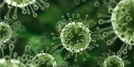 اختراق
      علمي
      جديد
      قد
      يوقف
      فيروسا
      يصيب
      95%
      من
      البشر