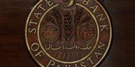 في
      وقت
      قياسي..
      باكستان
      تتسلم
      المليار
      الثالث
      وتعلن
      اكتمال
      الوديعة
      السعودية
      الضخمة