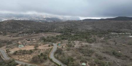 الغطاء النباتي: 3 ملايين م2 فرص استثمارية لتعزيز السياحة البيئية بالباحة