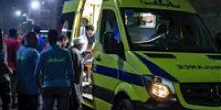 مصرع
      طفل
      صدمته
      سيارة
      بطريق
      الإسماعيلية
      السويس
      الصحراوي