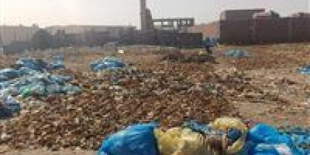 غرامات
      تصل
      إلى
      100
      ألف
      جنيه..
      تشديدات
      قانونية
      جديدة
      لتنظيم
      إدارة
      المخلفات